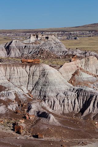 74 petrified forest, blue mesa.jpg